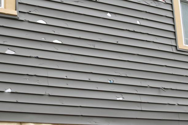 Best Custom Trim and Detailing for Siding  in Belvidere, NJ