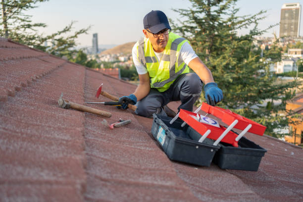 Best Historical Building Siding Restoration  in Belvidere, NJ