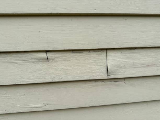 Best Aluminum Siding Installation  in Belvidere, NJ